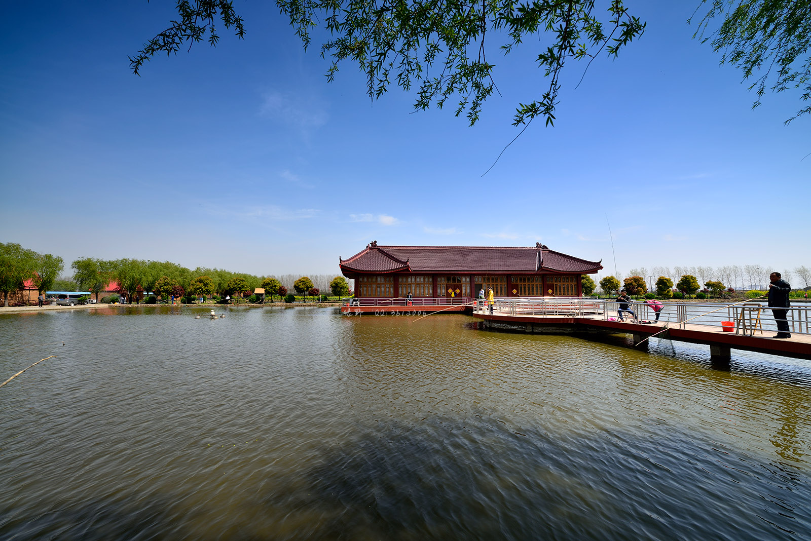 llll 春·家乡美 走遍千山万水 还是家乡最美--20140406扬中风光外拍