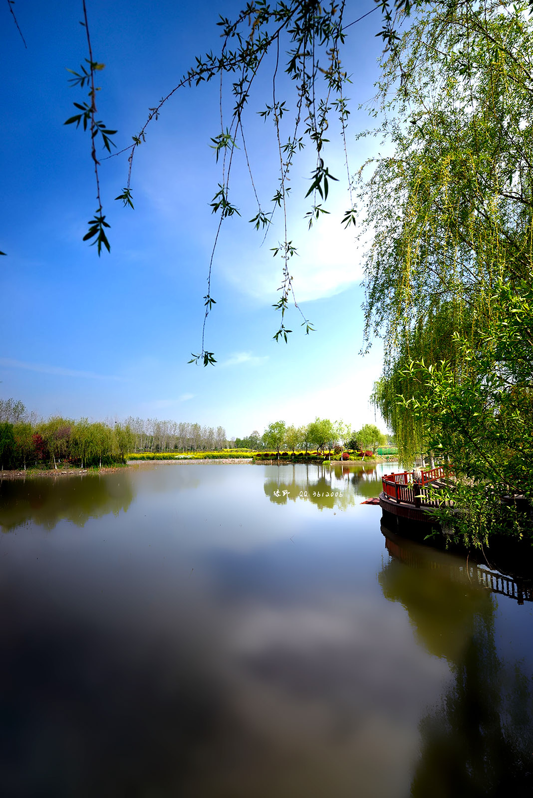 llll 春·家乡美 走遍千山万水 还是家乡最美--20140406扬中风光外拍