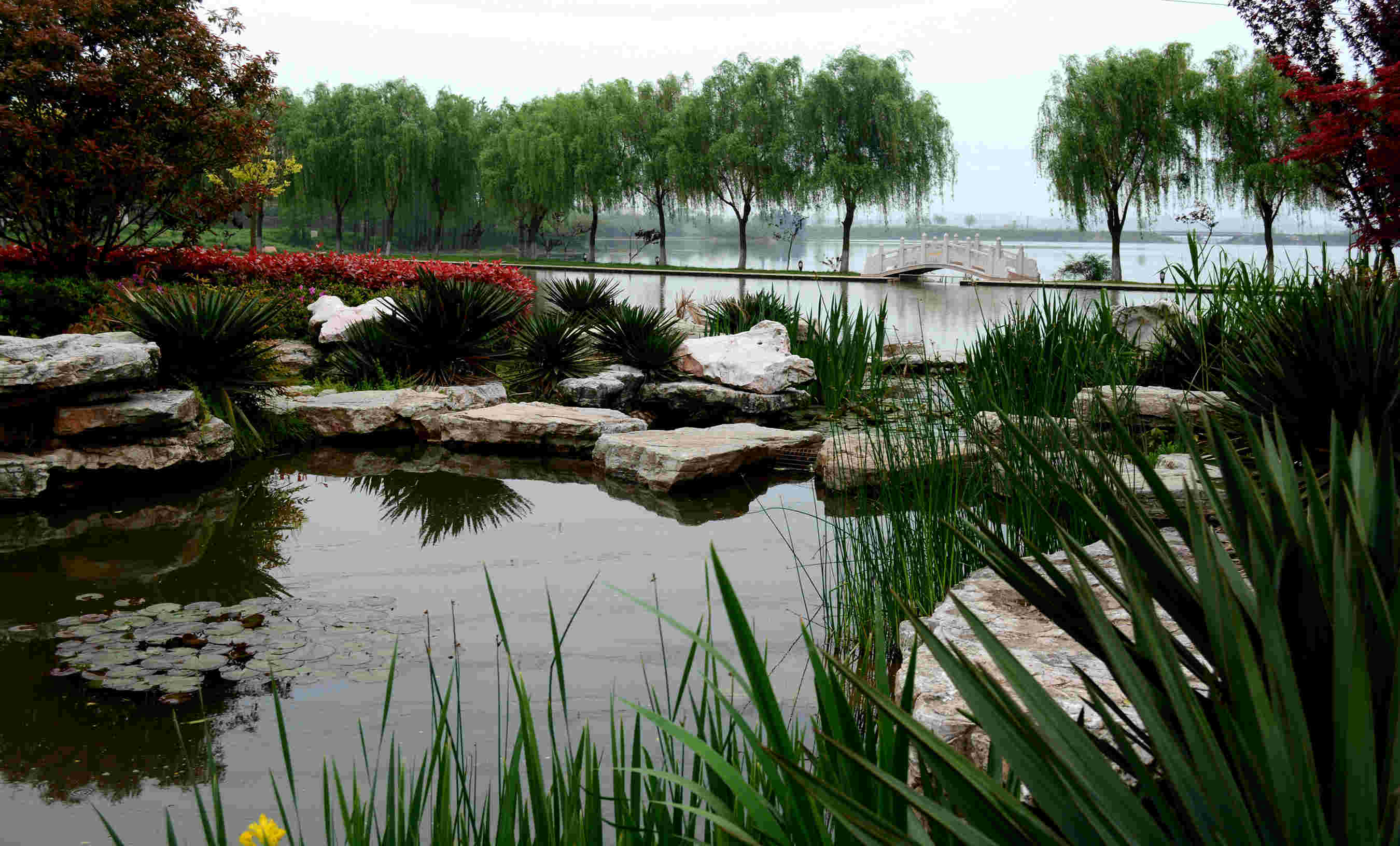 仙人湖别墅采风 - 视觉coffeeshop摄影部落 - 梦溪论坛 镇江,时事