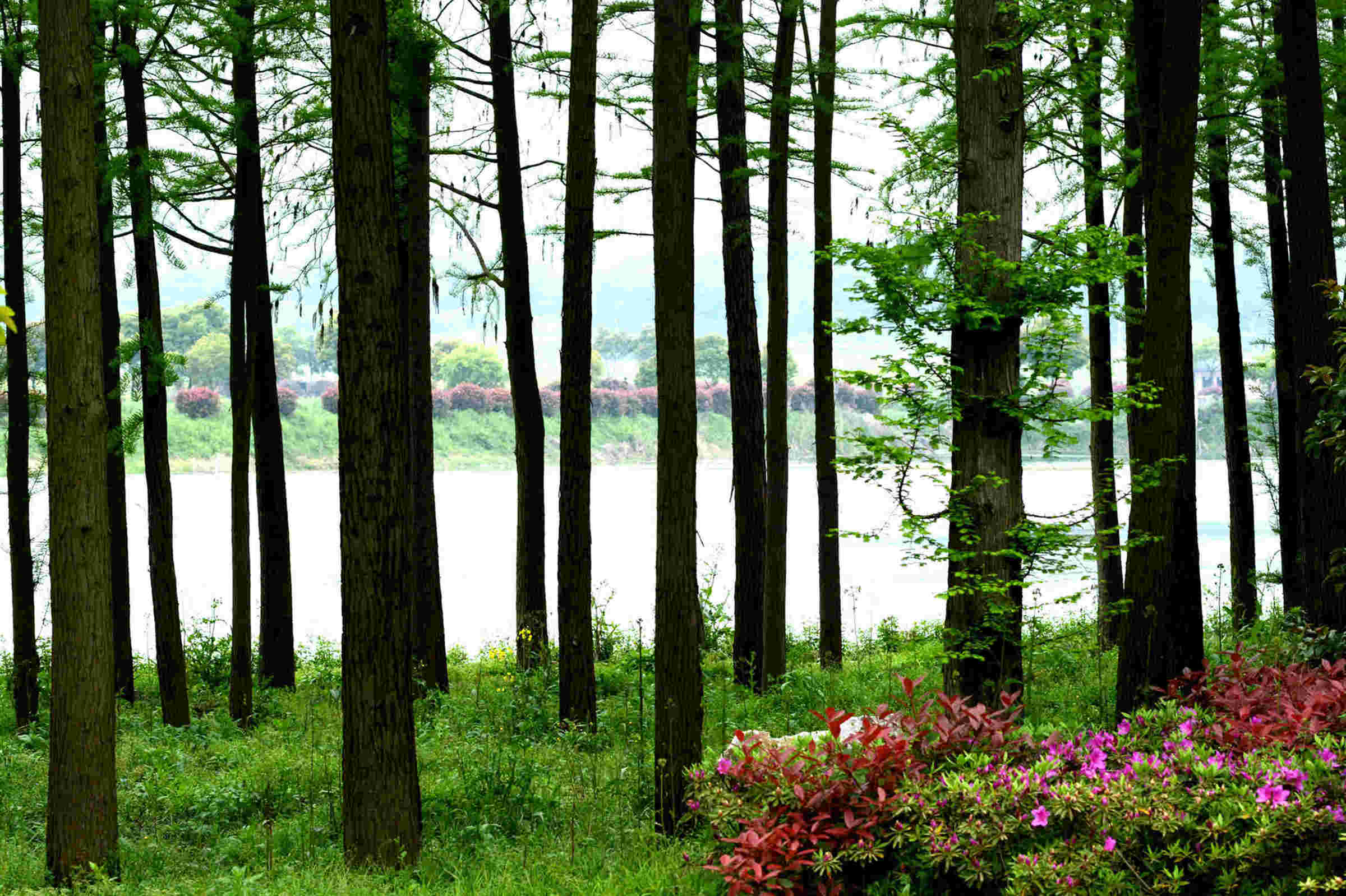 仙人湖别墅采风 - 视觉coffeeshop摄影部落 - 梦溪论坛 镇江,时事