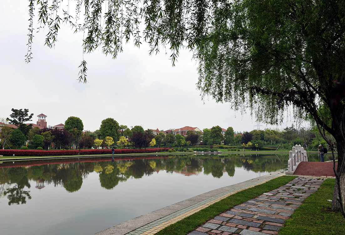 仙人湖---------风情 - 视觉coffeeshop摄影部落 - 梦溪论坛 镇江