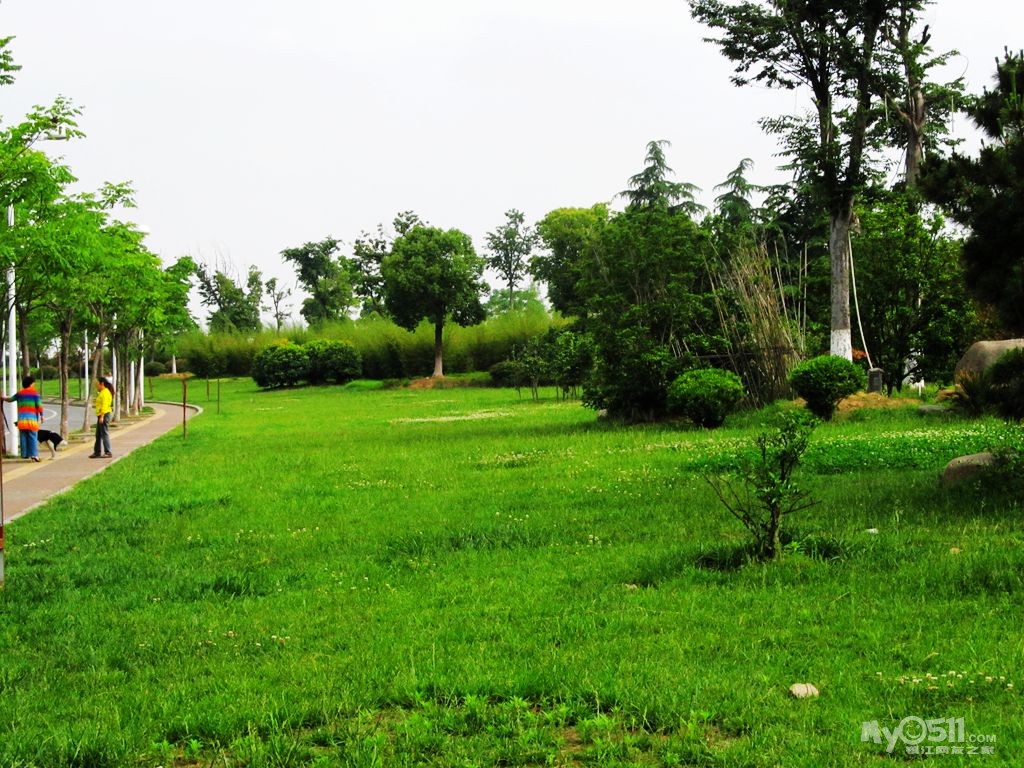 五彩缤纷的滨江绿化带