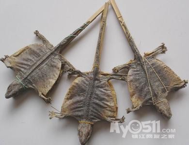 家中进了壁虎,有什么办法驱赶或捉拿或杀死?急切 请版主勿移