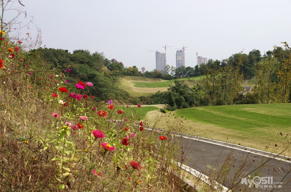 镇江沙山公园图片