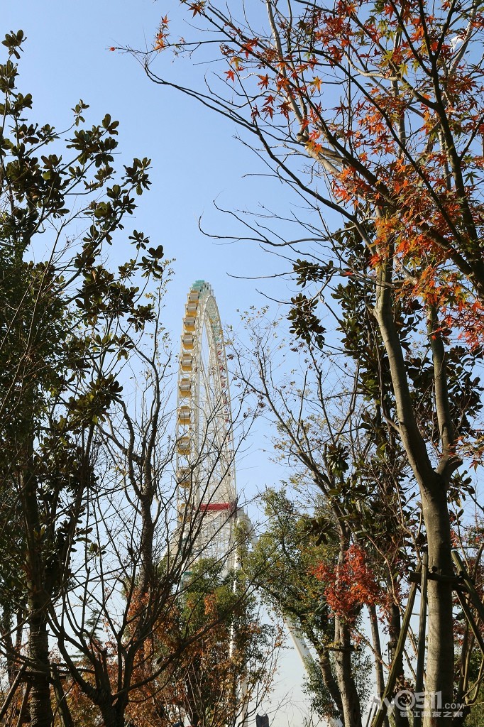 大港北湖公园
