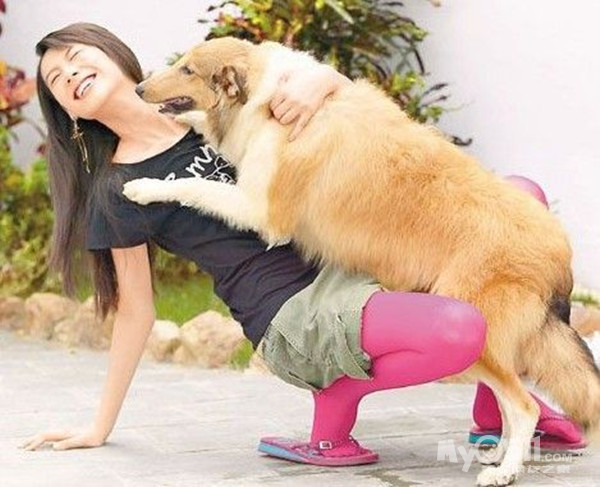 为什么女人都喜欢养大狗 告诉我为什么