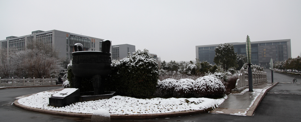 雪後江大小景 - 鏡頭裡的鎮江 - 夢溪論壇 鎮江,時事,招聘,求職,社區