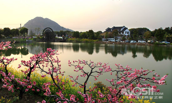 无锡华莱坞,阳山桃花源,常州孝道园休闲二日游 发班日期:3月28 29日,4