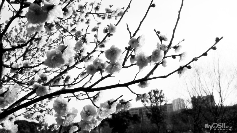 开眼界长见识的诗 1503101854eba99f0b92f05edf.jpg