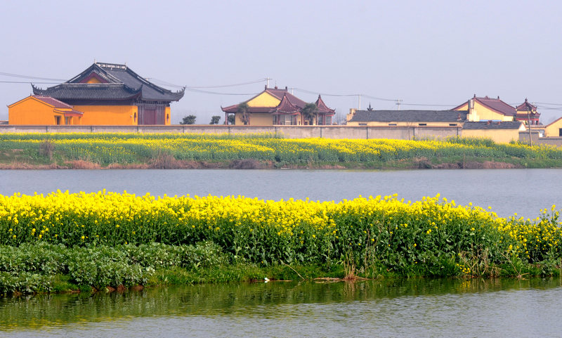 古镇宝堰——春色