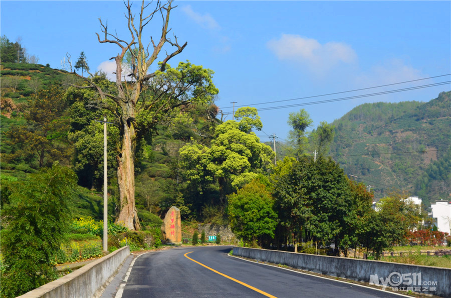 三棵树,寻梦磻村