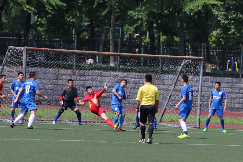 1505251037883b14a4636184e3.jpg