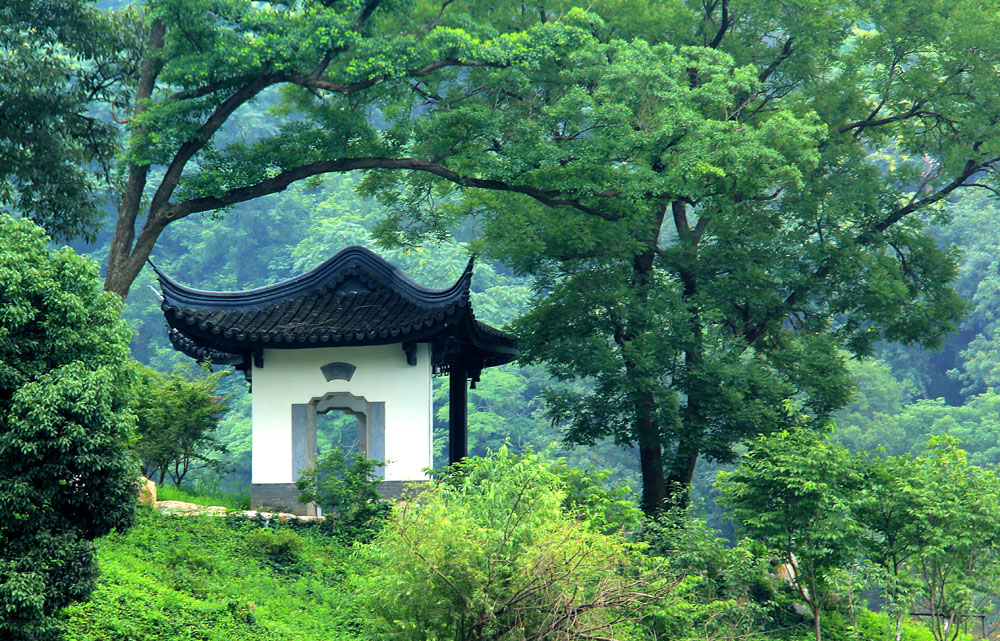 裡的鎮江南山 - 鏡頭裡的鎮江 - 夢溪論壇 鎮江,時事,招聘,求職,社區