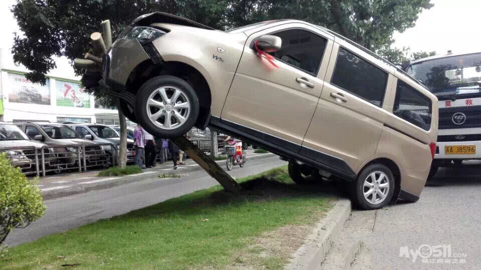 南京一新手司机错把油门当刹车 将汽车开上树