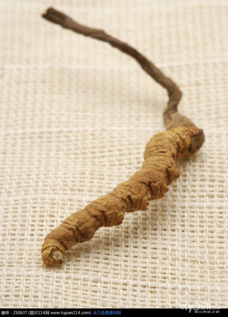 上图啦.青海野生冬虫夏草,黑枸杞