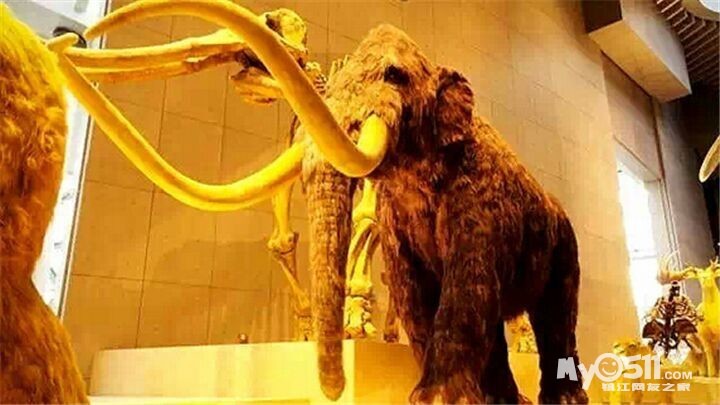 10月3-4日上海长风海洋世界+自然博物馆+科技