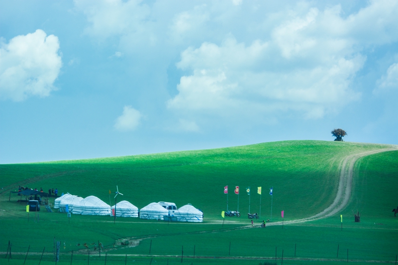 呼伦贝尔草原-清凉且广阔的世界