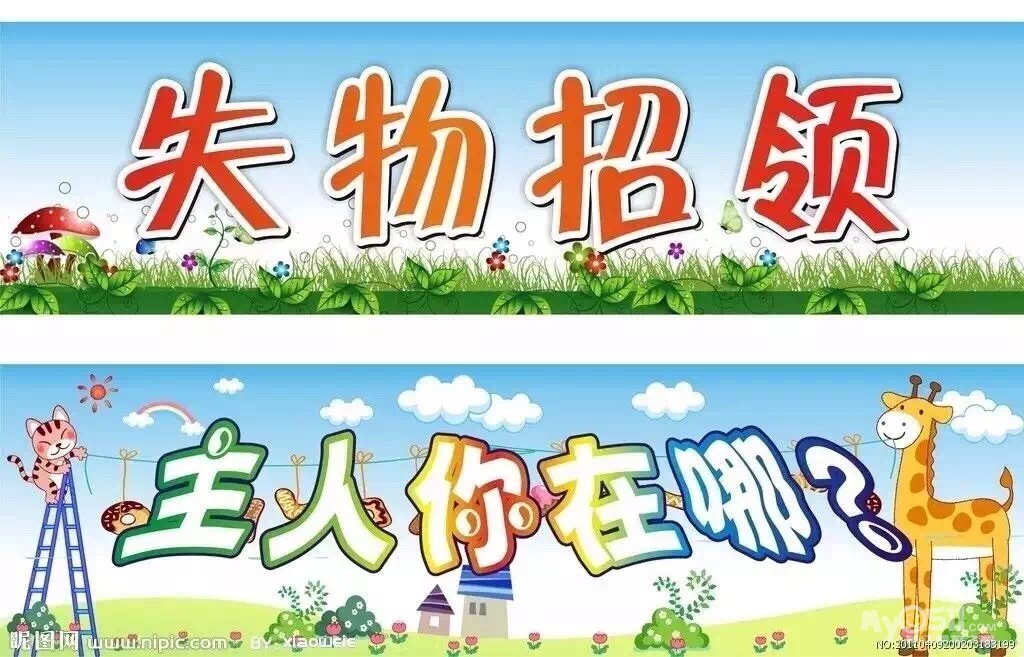 失物招领,主人你在哪里?
