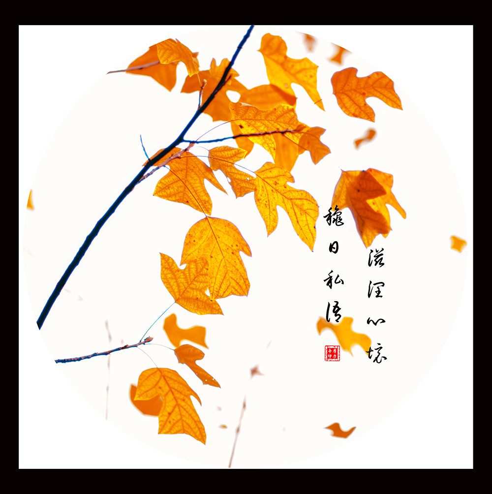 窗外,似乎云卷云舒;庭前,犹同花开花落.