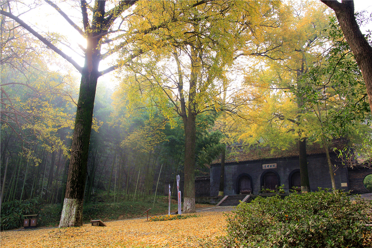 图片拍于镇江竹林寺