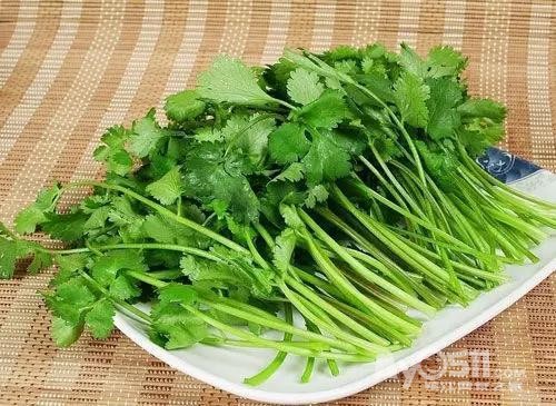 冬天千万别吃香菜,我是认真的!