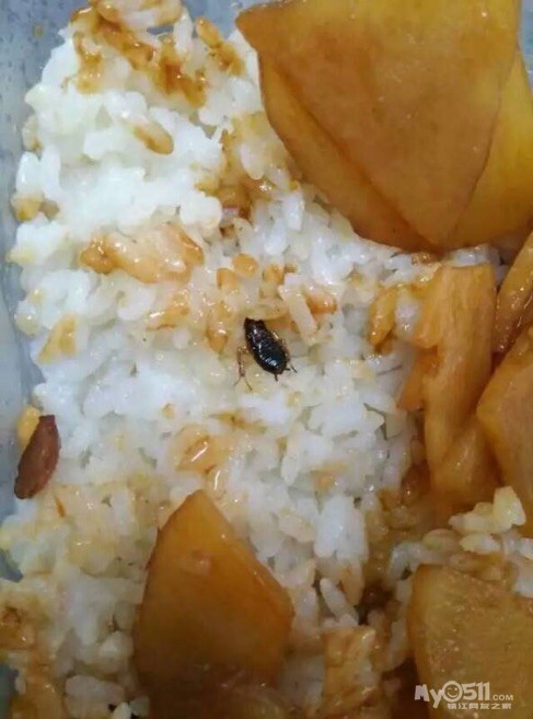 麻辣豆腐里居然吃出一只小强