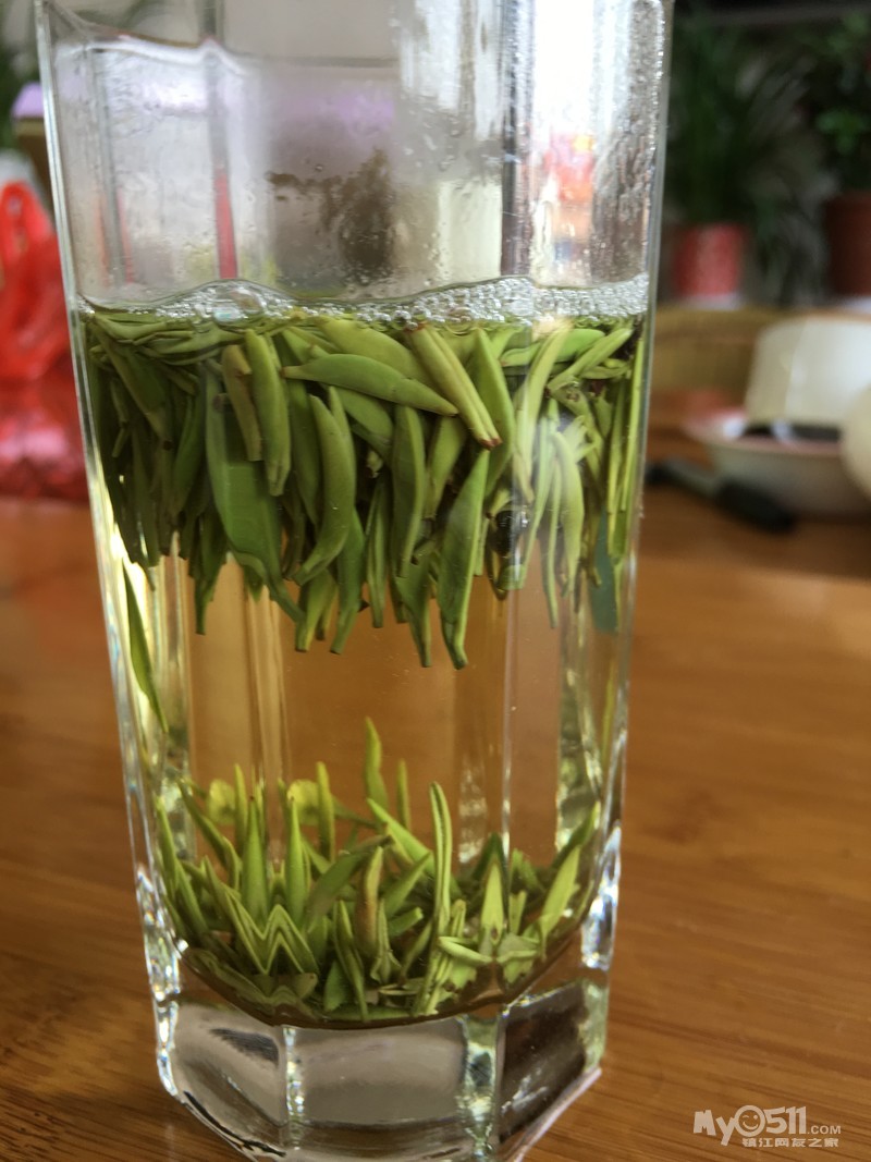 2016年金坛雀舌茶叶,白茶上市了,自家茶园无公害生长,欢迎光临品尝.