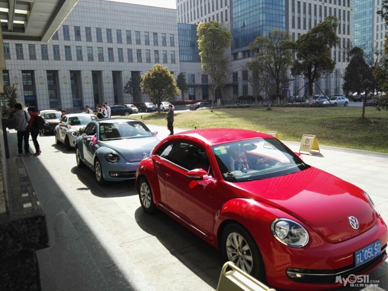 彩色【甲壳虫】 祝新人新婚快乐!