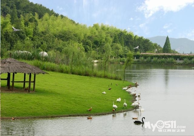 4月30日--5月1日-----熊孩子的旅行---安吉二日游(开始报名)
