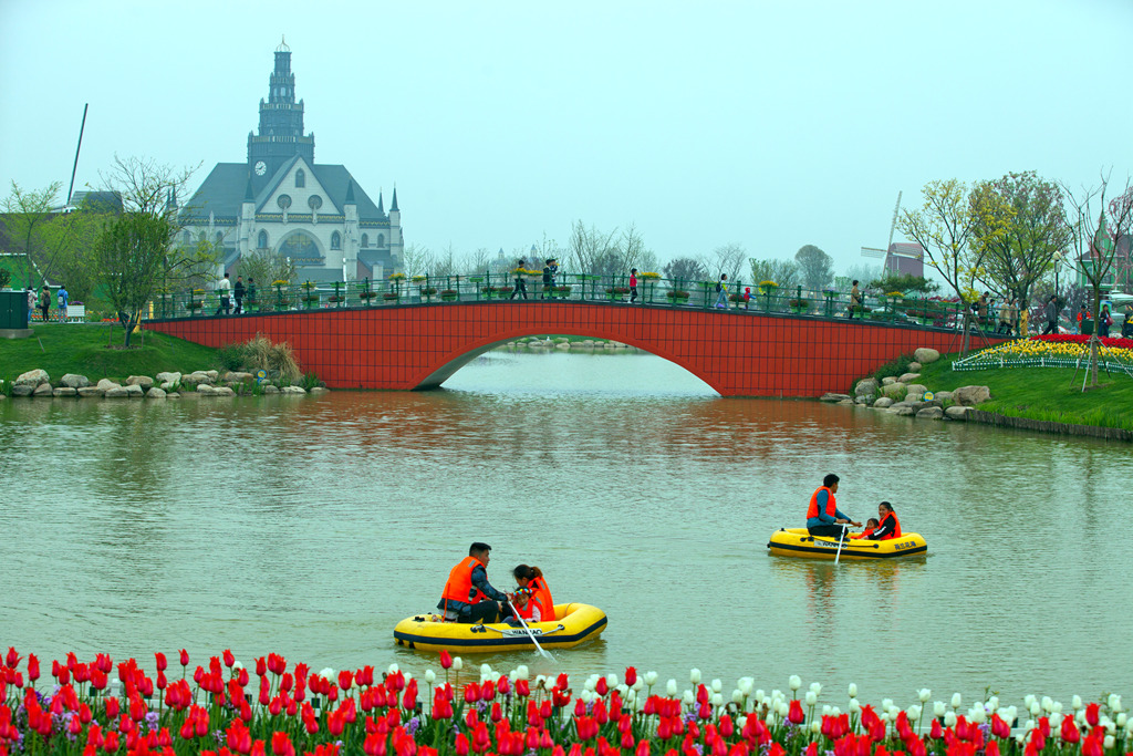 2016荷兰花海(大丰) 纪行 - 视觉Coffeeshop摄影