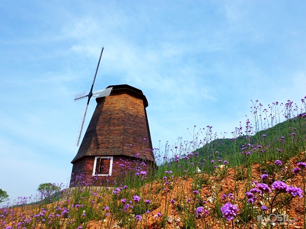 长山薰衣草庄园印象