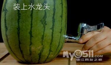 西瓜多少天可以快速膨大 16061613452c424e1e86865cf2.jpg