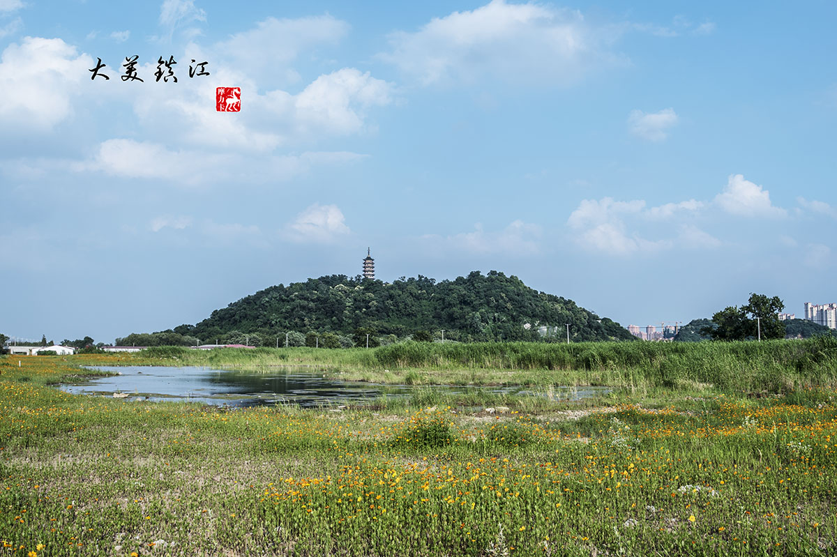 镇江湿地公园图片