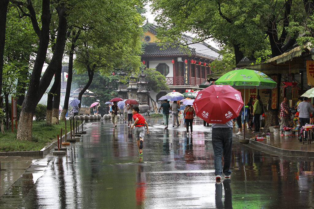 雨中金山
