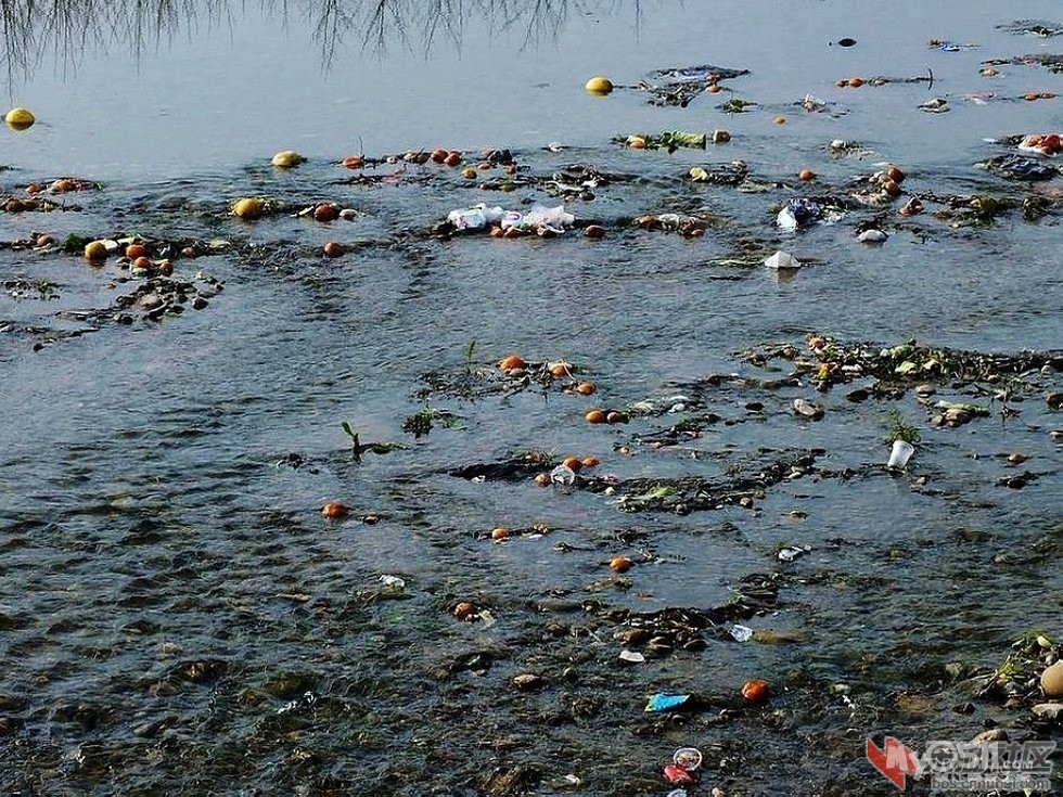 我们每天必须喝的水!是毒药?