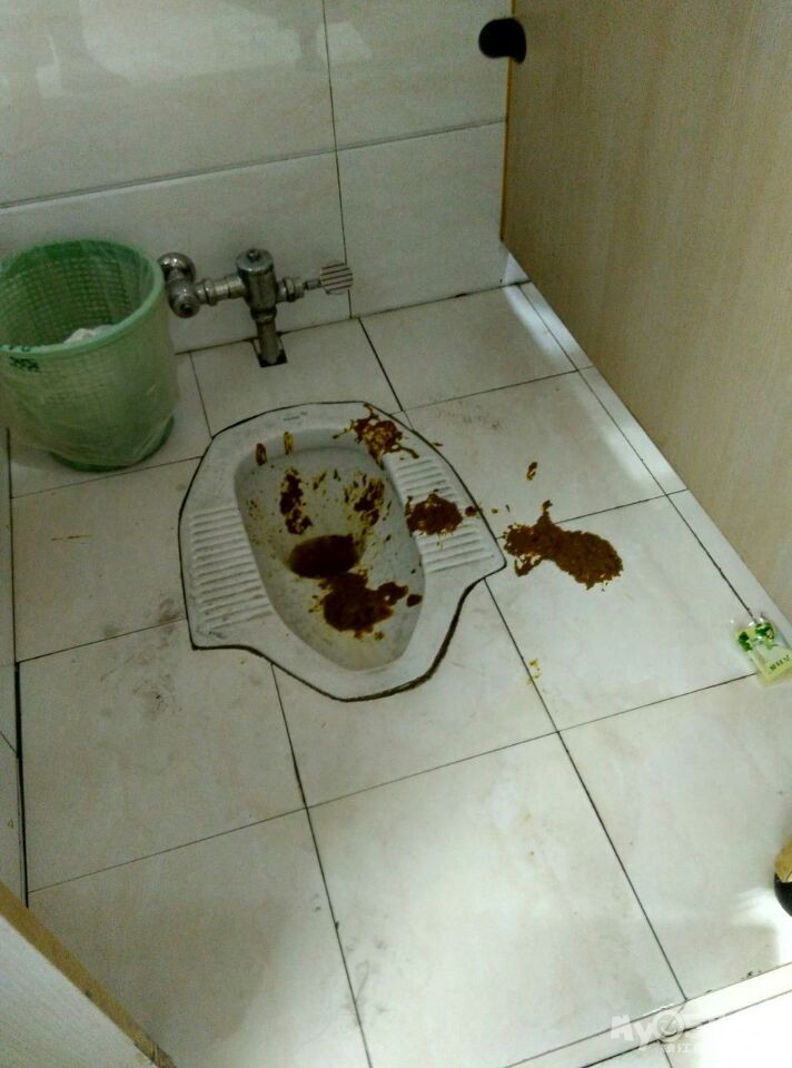 这他娘的屁眼得歪到什么程度 才能把屎拉成这样? 这么近的距离