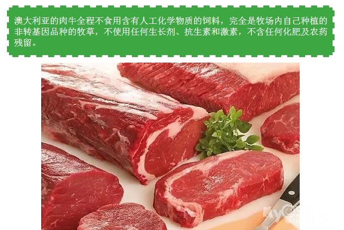 如何挑选优质进口牛腩 16092009568fc8584d18dc6c02.jpg