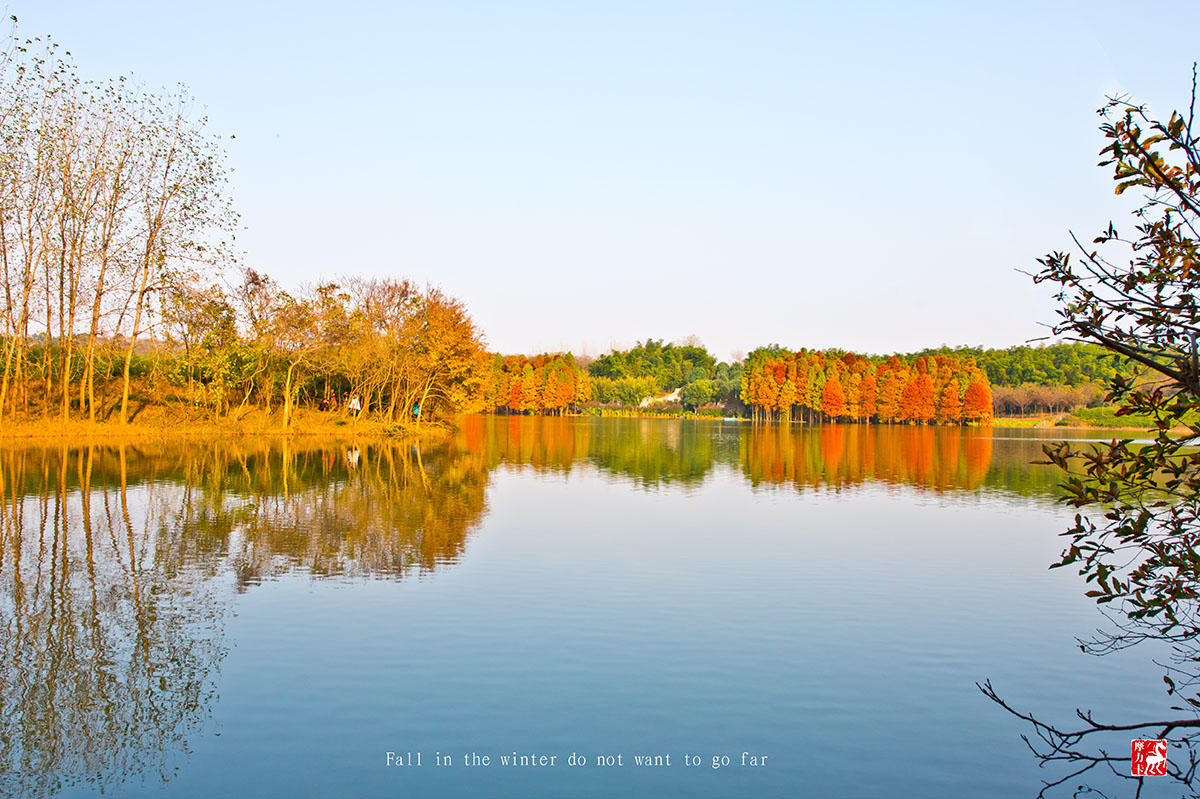 《丹阳上湾水库》秋天留在冬天里不想走远