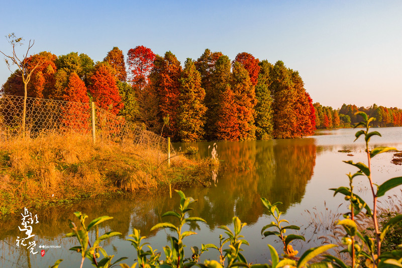 《丹阳上湾水库》——冬日恋歌