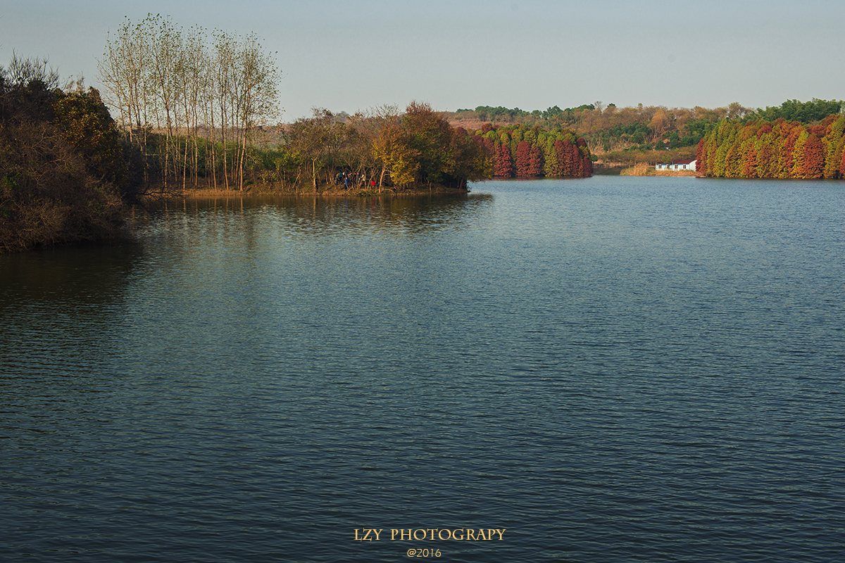 lzy《丹阳上湾水库(2016.11.27)》lzy