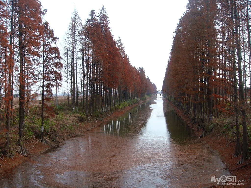 東鄉人文探索之旅(a08視頻已上見一樓) - 鎮江市自行車運動協會 - 夢