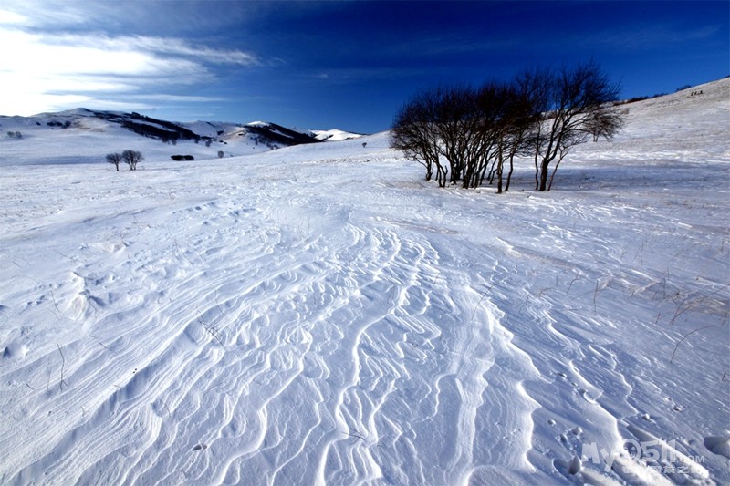 [寻味中国年]2017春节— 坝上雪原寻觅童真记忆,乌兰布统梦幻体验五