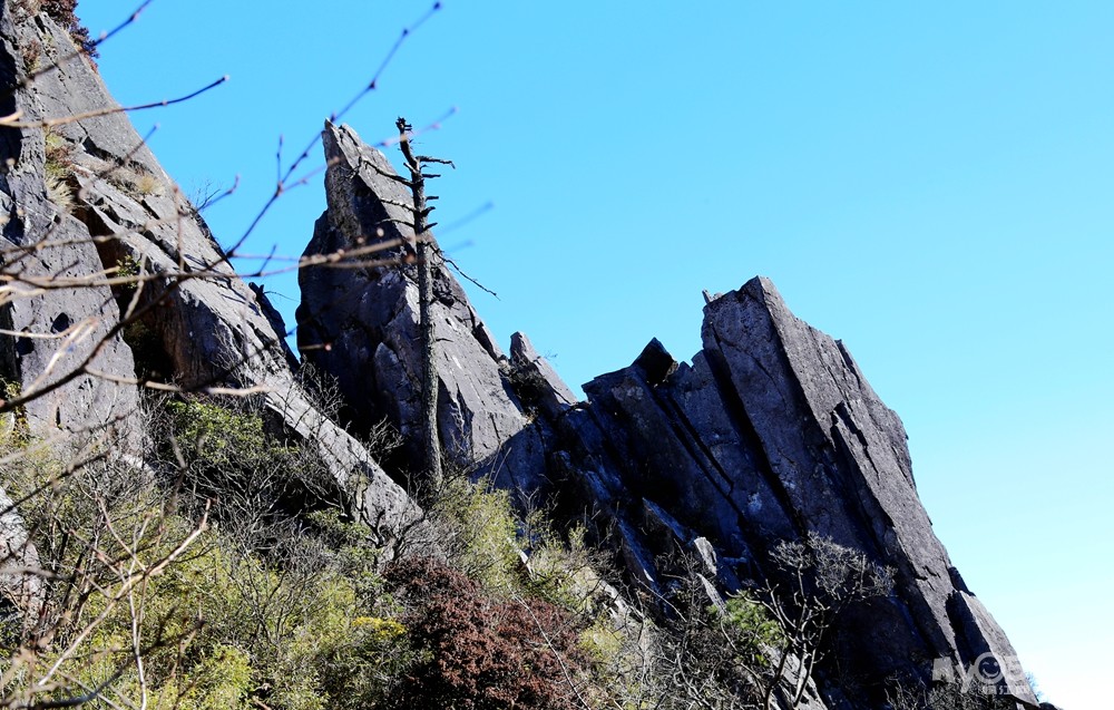 因为山在那里——安徽清凉峰南山脊穿越图文纪实