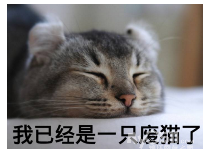 我凌乱中…怀疑自己吃了顿假火锅,其实是顿真串串.