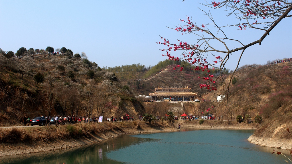 探秘安吉梅花沟,赏千亩梅林盛景