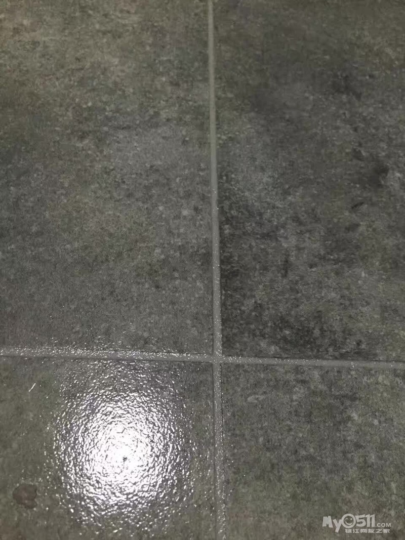 ma_1487746569138966rs.jpg