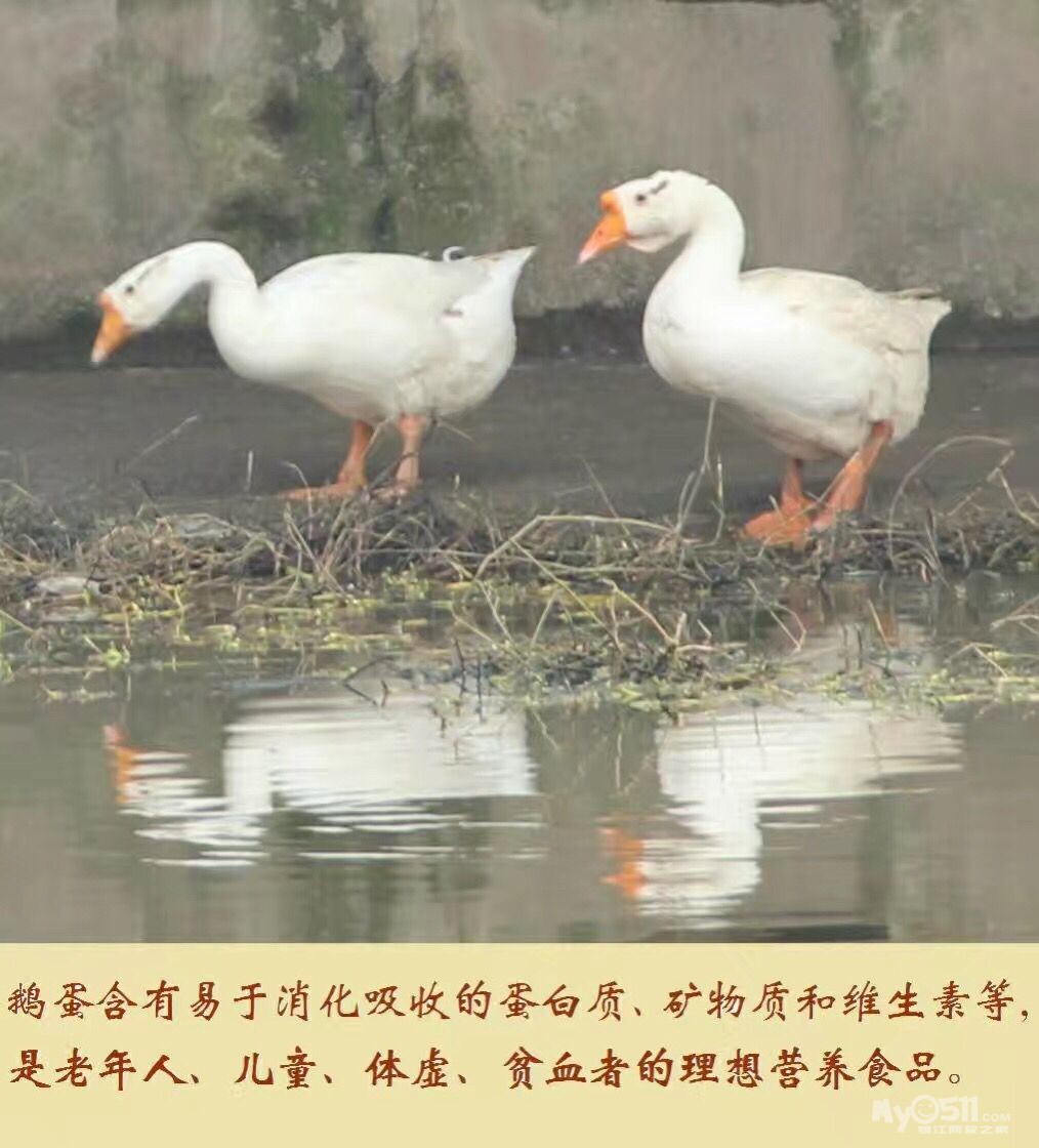 1703061737e9861331a9cd65f6.png