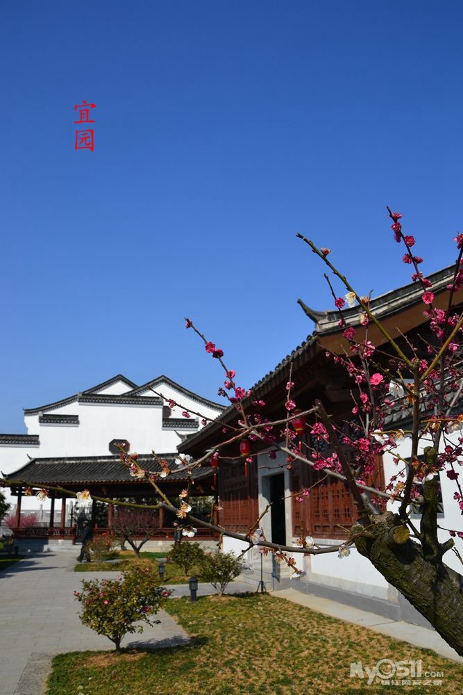 镇江宜园美丽风光美不胜收