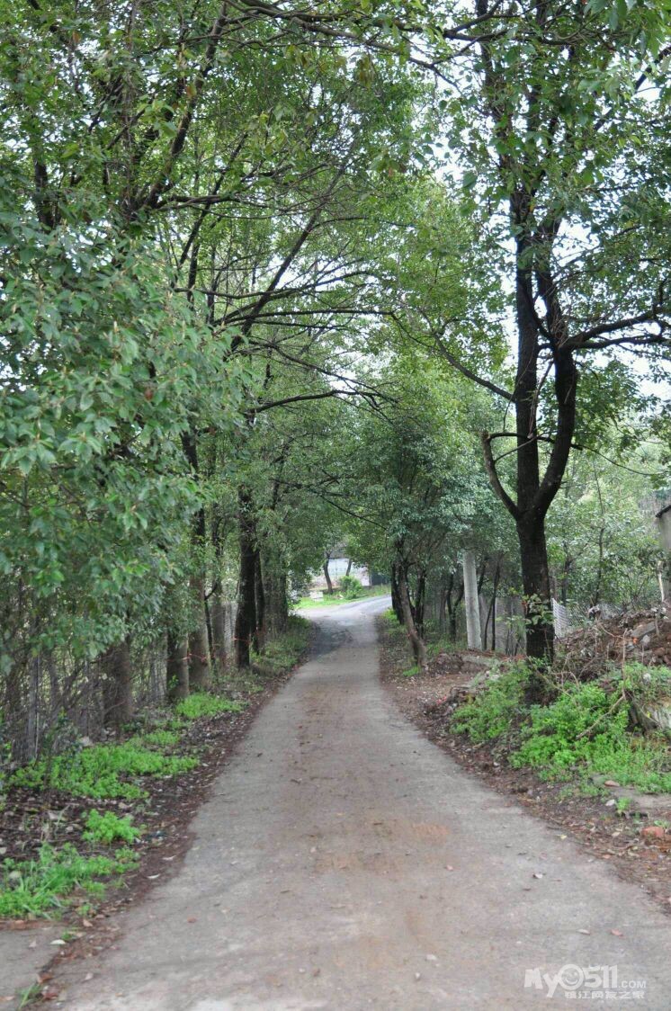 休闲骑游东郊横山凹 - 镇江市自行车运动协会 - 梦溪论坛 镇江,时事