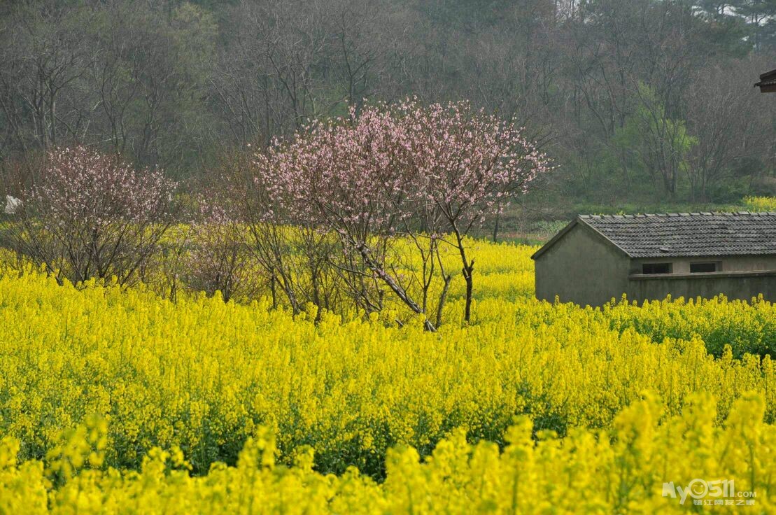 休闲骑游东郊横山凹 - 镇江市自行车运动协会 - 梦溪论坛 镇江,时事